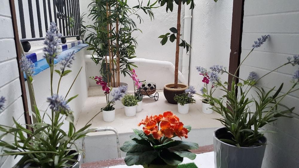 Pension Giraldilla Sevilla Dış mekan fotoğraf